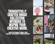 Beyond The Hustle 170+ Pink Boho Aesthetic Social Media Stock Images